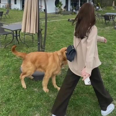 黑洞频率